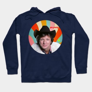 THE ACTOR'S RAINBOW Hoodie